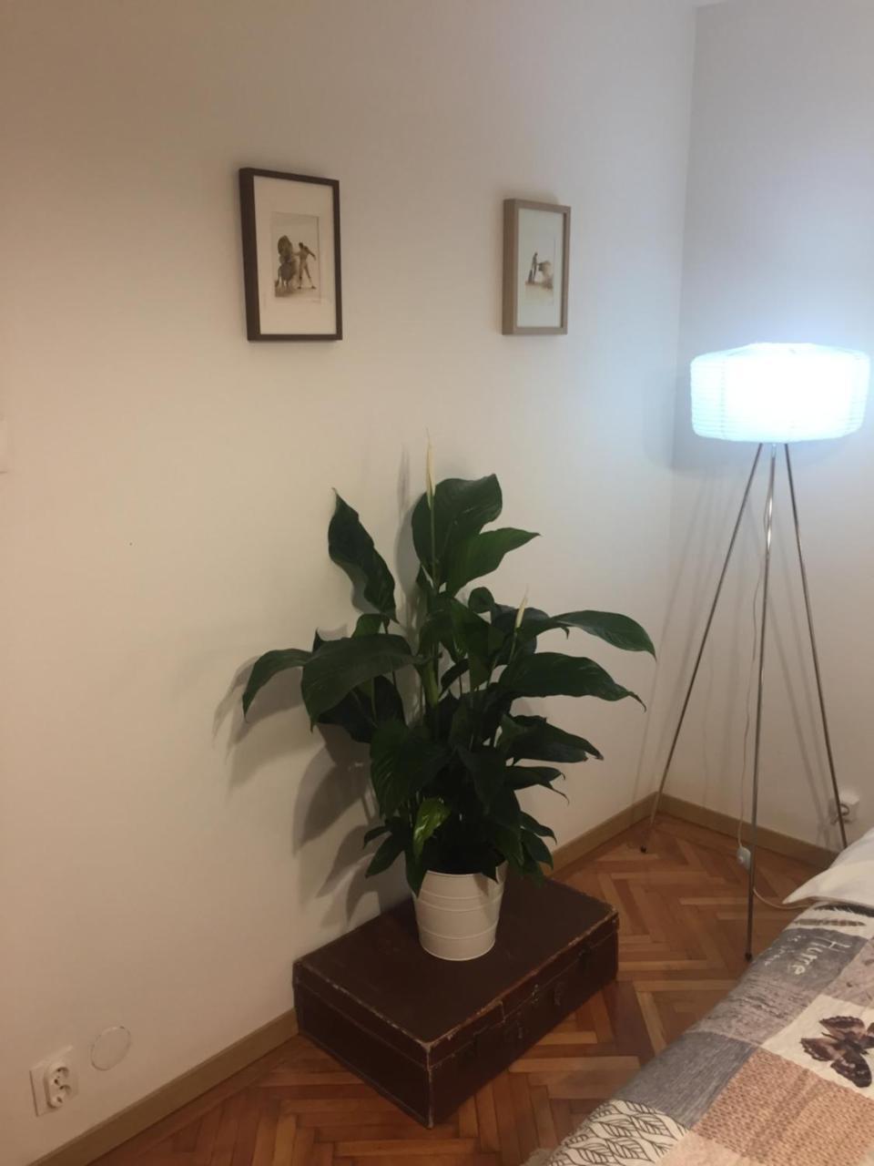 Marcy Studio Apartment Bucharest Exterior photo